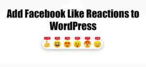 Read more about the article How to Add Facebook Like Reactions to WordPress Website