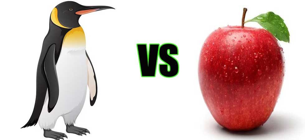 Linux vs macOS
