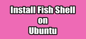 Read more about the article How to Install Fish Shell on Ubuntu