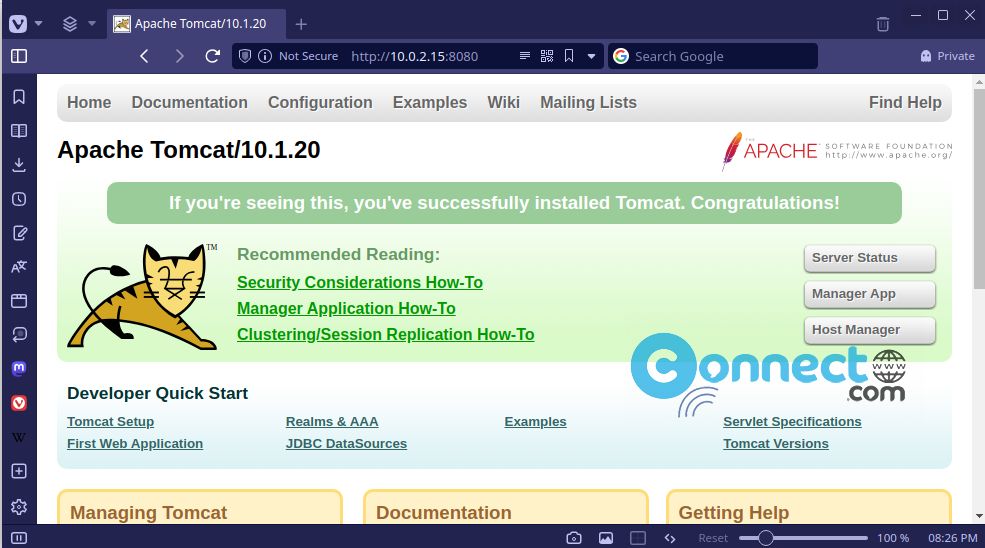 Tomcat Web UI via ip