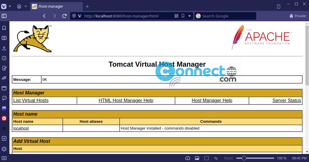 Tomcat host manager