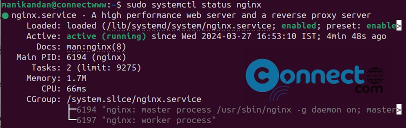 check the status of the nginx server
