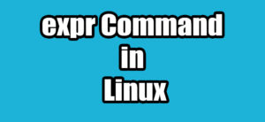 Read more about the article expr Command in Linux