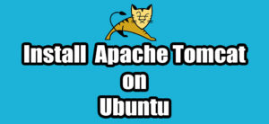 Read more about the article How to install Apache Tomcat on Ubuntu