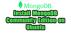 Read more about the article How to Install MongoDB Community Edition on Ubuntu