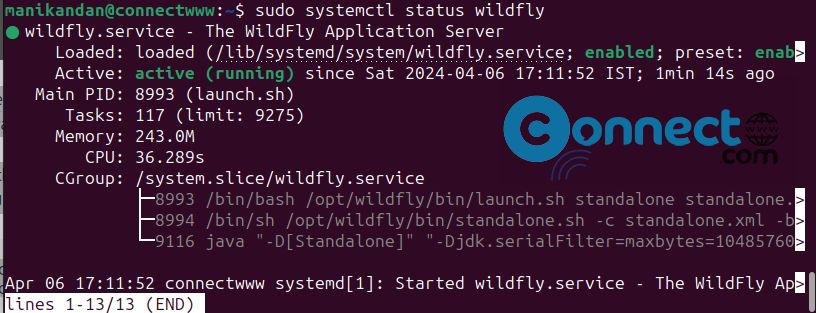 check wildfly status