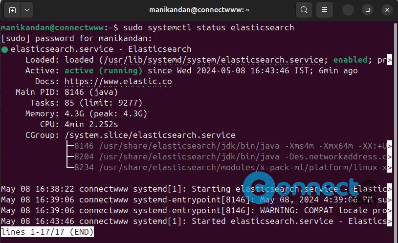 Elasticsearch service status